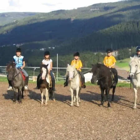 Feriegård Grubenhof Fulpmes